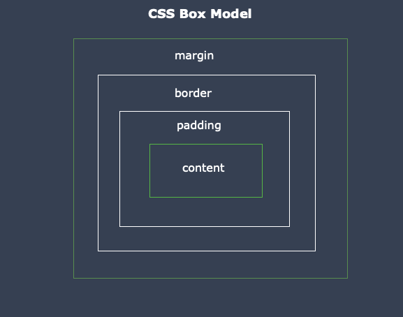 box model